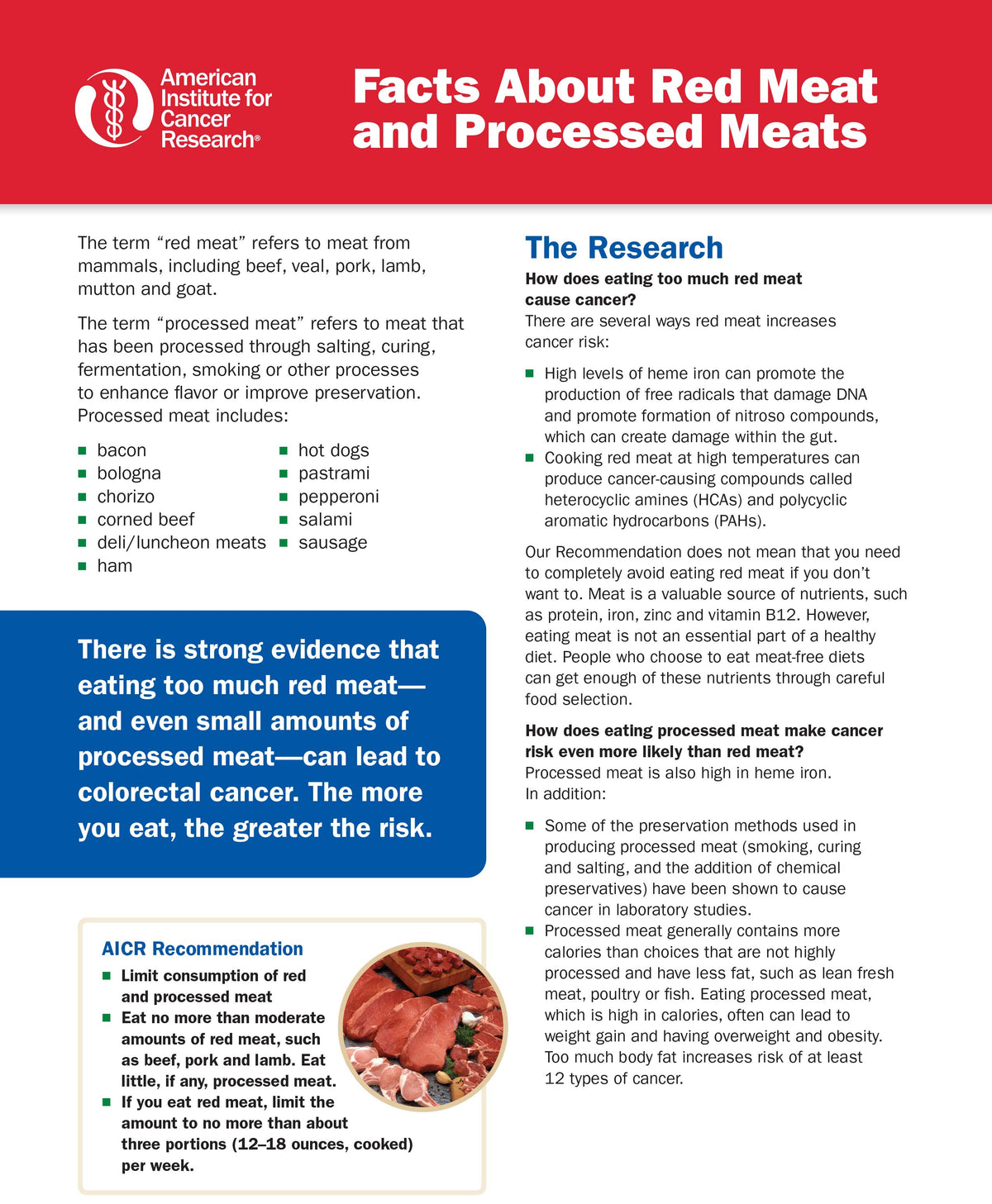 INSTANT DOWNLOAD: Facts About Red Meat and Processed Meats – AICR
