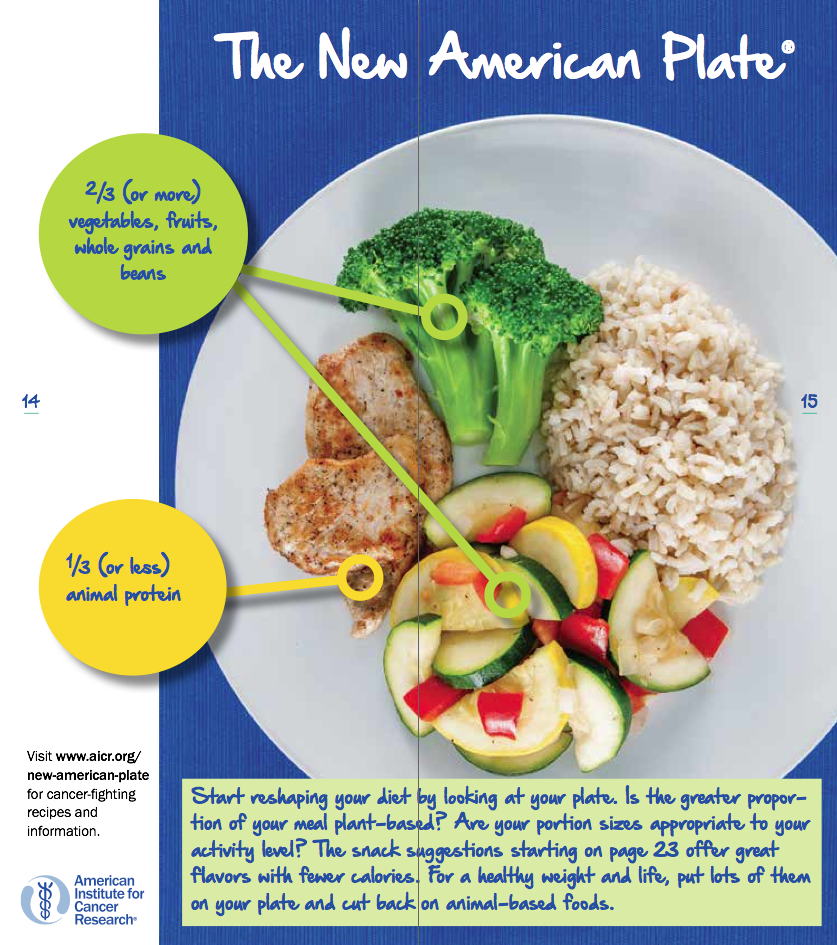 The New American Plate for Weight Loss (Pack of 25)